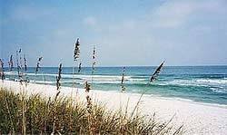  Pensacola Beach views of Real Estate Counselors, Inc. 1003 N 12th Ave - Photo 10 of 11