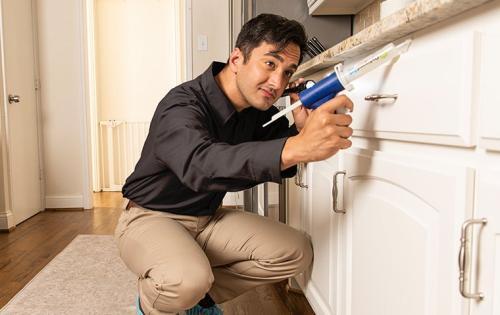  Profile Photos of Caliber Pest Service 778 Lydig Avenue - Photo 3 of 4