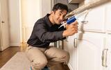 Caliber Pest Service, The Bronx