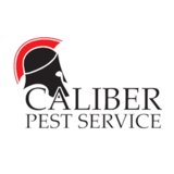 Caliber Pest Service, The Bronx