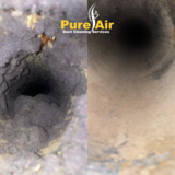  Pure Air Duct Cleaning, LLC 3717 Ashley Way 