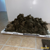  Pure Air Duct Cleaning, LLC 3717 Ashley Way 