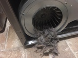 North Florida Dryer Vent Cleaning LLC, Ponte Vedra Beach