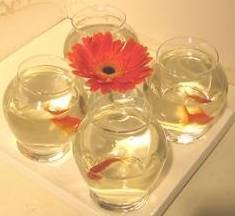  Profile Photos of Designs by Doe Specialty Florist and Gifts 5140 Cheshire  Road - Photo 31 of 48