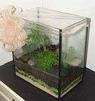 Profile Photos of Designs by Doe Specialty Florist and Gifts 5140 Cheshire  Road - Photo 25 of 48