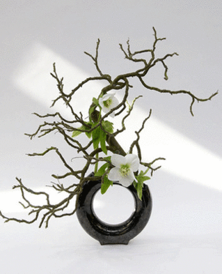  Profile Photos of Designs by Doe Specialty Florist and Gifts 5140 Cheshire  Road - Photo 15 of 48