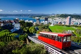  Seven Seas Travel 21719 Harper Avenue SUITE D 