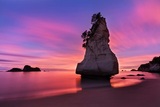  Seven Seas Travel 21719 Harper Avenue SUITE D 