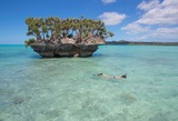  Seven Seas Travel 21719 Harper Avenue SUITE D 