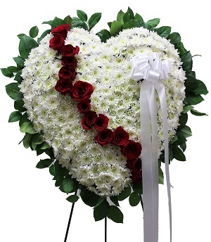  Profile Photos of Prospect Park Florist & Fruit Baskets 142 Prospect Park West - Photo 1 of 1