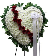 Prospect Park Florist & Fruit Baskets, Brooklyn