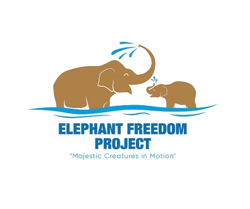  Profile Photos of Elephant Freedom Project 136, Mae Win, Mae Wang District - Photo 1 of 1