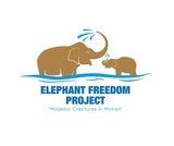 Elephant Freedom Project, Chiang Mai