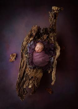  Profile Photos of Cheryl Spaulding Photography 159 Kentucky St. Suite #3 - Photo 4 of 4