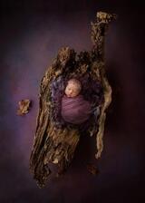  Cheryl Spaulding Photography 159 Kentucky St. Suite #3 