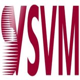 Silicon Valley Microelectronics (SVM) Silicon Valley Microelectronics (SVM) 2985 Kifer Road 