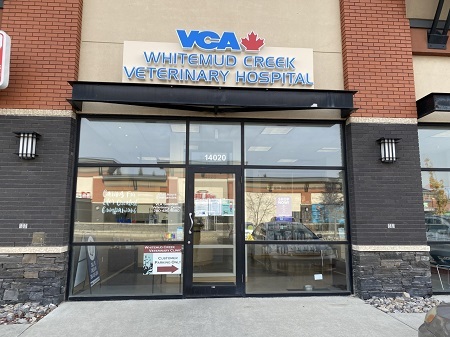  Profile Photos of VCA Canada Whitemud Creek Veterinary Hospital 14020-23 Avenue NW - Photo 1 of 2
