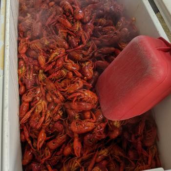  New Album of Bon Temps Boulets Seafood 4701 Airline Dr - Photo 1 of 2