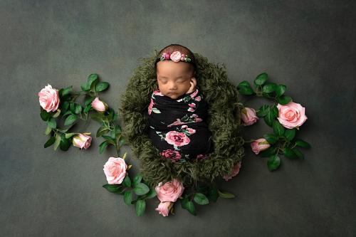  New Album of Jennifer McNeil Photography 926 E Park Ln - Photo 1 of 2