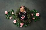 Jennifer McNeil Photography, Santa Ana