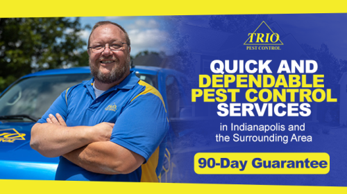  New Album of Trio Pest Control 3158 East Thompson Road - Photo 1 of 1