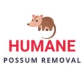  Profile Photos of Humane Possum Removal Kyneton 216 Redesdale Rd - Photo 1 of 1
