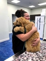  Premier Veterinary Care and Resort 1200 West Causeway Approach #30 