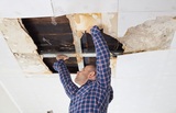 Antique Capital Water Damage Solutions, Glendale