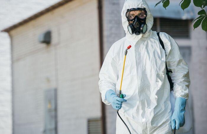  Profile Photos of Wild Horses Termite Removal Experts 509 Olive Way - Photo 3 of 4