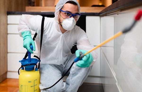  Profile Photos of The Green Termite Removal Experts 201 Airport Rd - Photo 1 of 1
