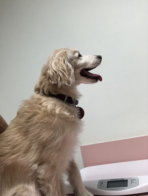  Profile Photos of Northridge Animal Medical Center` 8918 Reseda Boulevard - Photo 1 of 3
