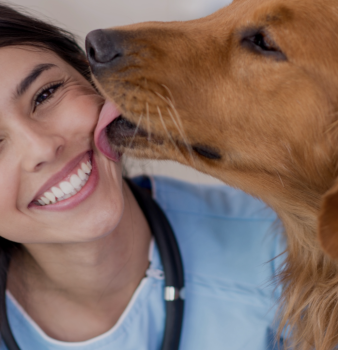  Profile Photos of Northridge Animal Medical Center` 8918 Reseda Boulevard - Photo 3 of 3