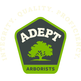  Profile Photos of Adept Arborists LLC Serving Area - Photo 1 of 1