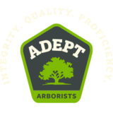 Adept Arborists LLC, Temple