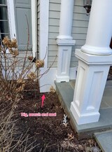 Thoroughspectllc, Greenwich