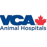 Toronto Veterinary Emergency Hospital, Scarborough