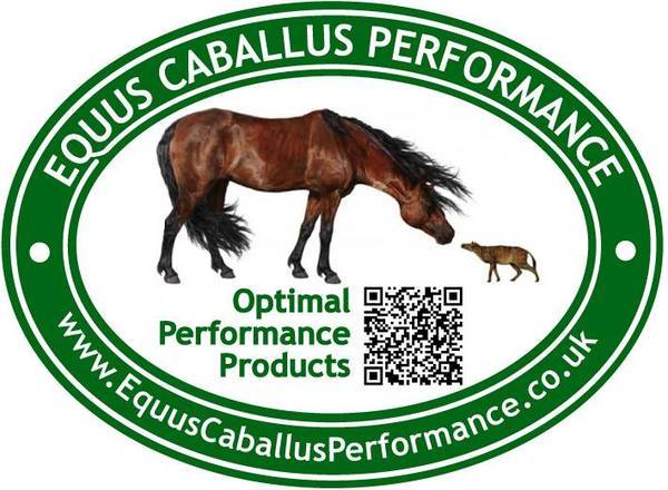  Profile Photos of Equus Caballus Performance Old Cob Farm, New Street Road, Hodsoll Street - Photo 1 of 1