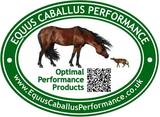 Equus Caballus Performance, Sevenoaks