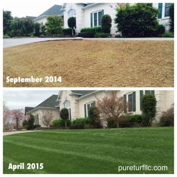  Profile Photos of Pure Turf LLC 445 Atlas Dr. - Photo 3 of 4