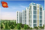 Sikka Kaamna Greens, Noida