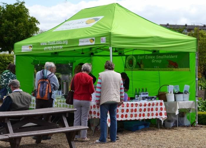  Instant Event Tents of BUDGET MARQUEES 18 Cliff Hill, Gorleston - Photo 8 of 45