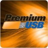  Premium USB 1929 W Lone Cactus Dr #3 