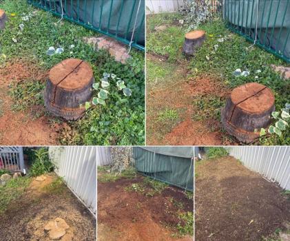  New Album of Southside Stump Grinding - Stump Removal U13, 24 Market st - Photo 2 of 2