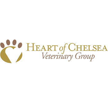  Profile Photos of Heart of Chelsea Veterinary Group - Chelsea 257 West 18th Street - Photo 1 of 1