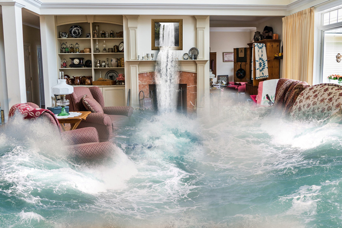  Profile Photos of Flood Damage Restoration Mosman Park 9 Owston Street - Photo 1 of 1