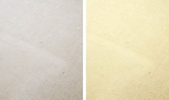  Profile Photos of Rug Cleaning Passaic 449 Highland Ave - Photo 4 of 4