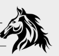 Cameo Fence, LLC, Blairsville
