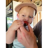 Missouri Berries, Republic