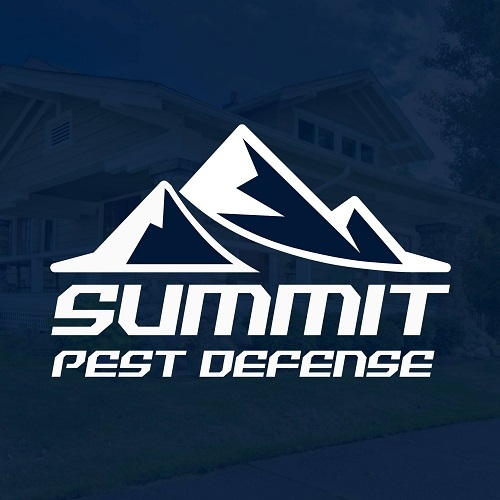  Profile Photos of Summit Pest Defense 103 Salado Drive - Photo 1 of 1