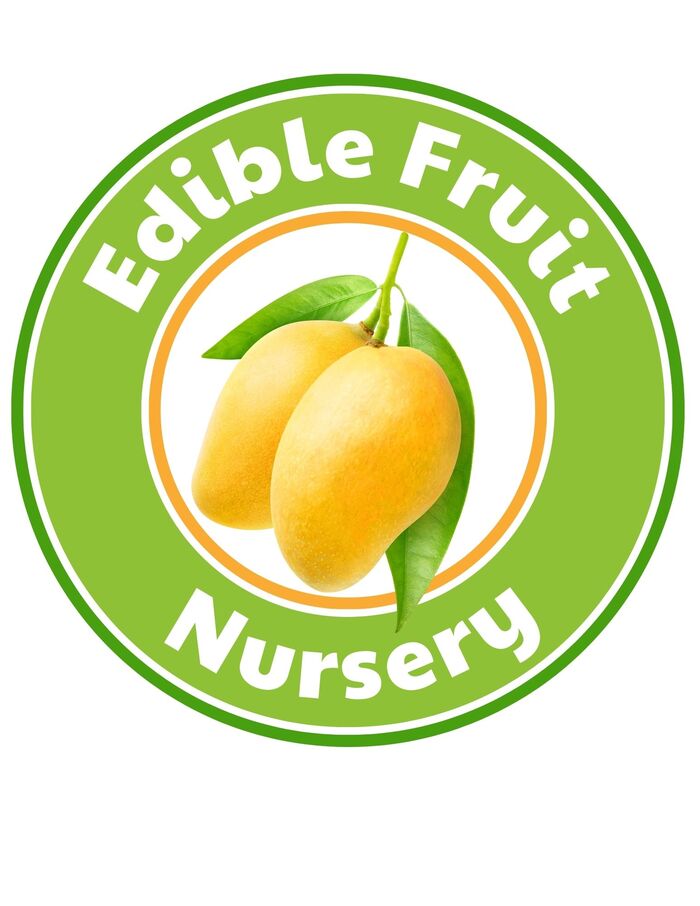  Profile Photos of Edible Landscaping and Fruit Tree Nursery LLC 7637 NE 1st Ave R (Rear - Photo 11 of 19